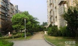 枫桥雅居爆料最新消息是真的吗,最新消息真实性待核实